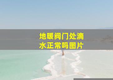 地暖阀门处滴水正常吗图片