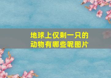 地球上仅剩一只的动物有哪些呢图片