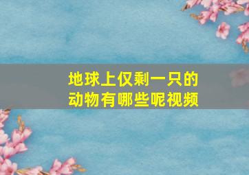 地球上仅剩一只的动物有哪些呢视频