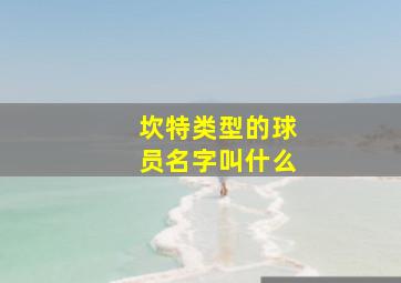 坎特类型的球员名字叫什么