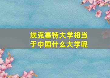 埃克塞特大学相当于中国什么大学呢