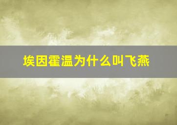 埃因霍温为什么叫飞燕