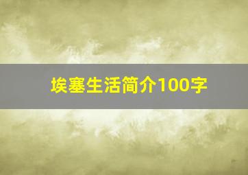 埃塞生活简介100字