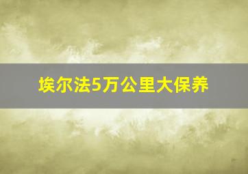 埃尔法5万公里大保养