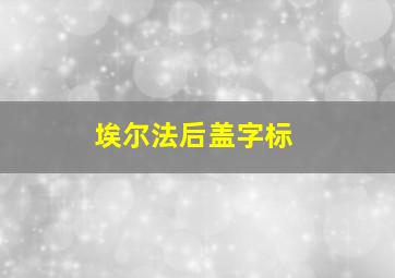 埃尔法后盖字标