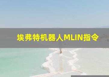 埃弗特机器人MLIN指令