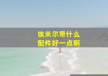 埃米尔带什么配件好一点啊