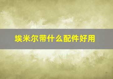 埃米尔带什么配件好用