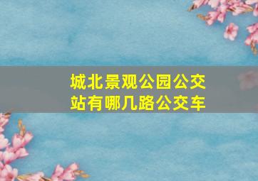 城北景观公园公交站有哪几路公交车