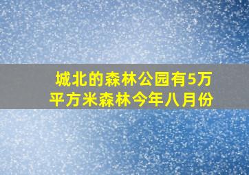 城北的森林公园有5万平方米森林今年八月份