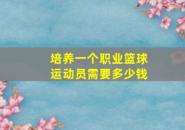 培养一个职业篮球运动员需要多少钱