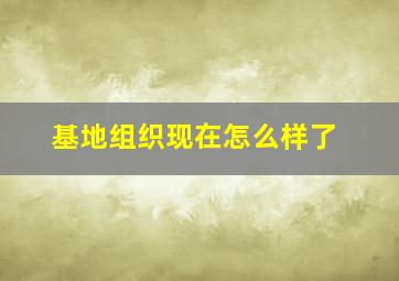 基地组织现在怎么样了