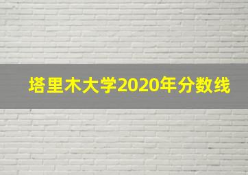 塔里木大学2020年分数线