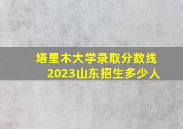 塔里木大学录取分数线2023山东招生多少人