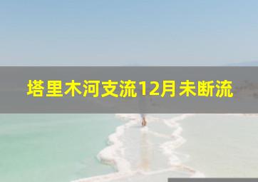 塔里木河支流12月未断流