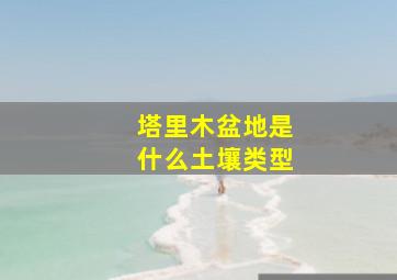 塔里木盆地是什么土壤类型