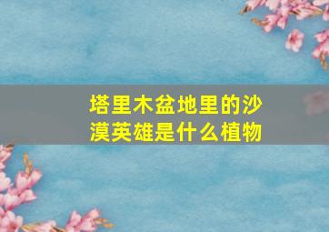 塔里木盆地里的沙漠英雄是什么植物