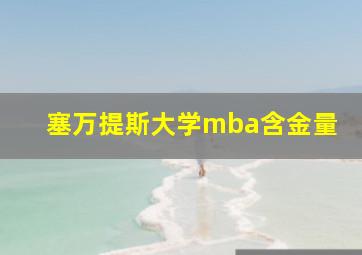 塞万提斯大学mba含金量