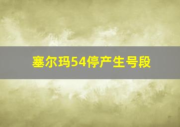 塞尔玛54停产生号段