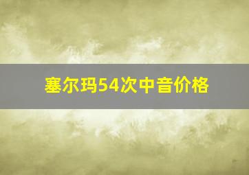 塞尔玛54次中音价格