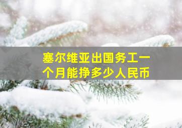 塞尔维亚出国务工一个月能挣多少人民币