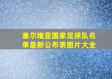 塞尔维亚国家足球队名单最新公布表图片大全