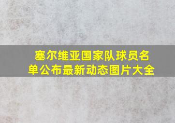 塞尔维亚国家队球员名单公布最新动态图片大全