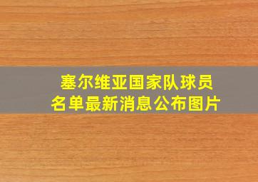 塞尔维亚国家队球员名单最新消息公布图片