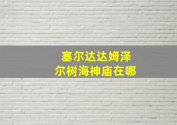 塞尔达达姆泽尔树海神庙在哪