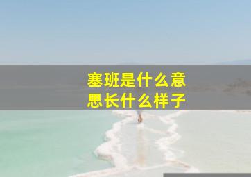 塞班是什么意思长什么样子