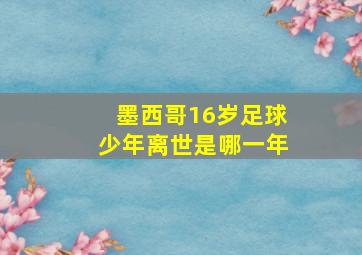 墨西哥16岁足球少年离世是哪一年