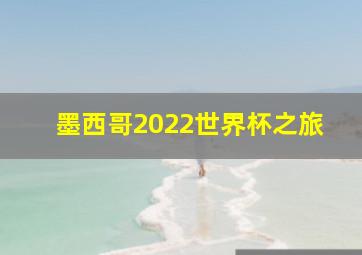 墨西哥2022世界杯之旅