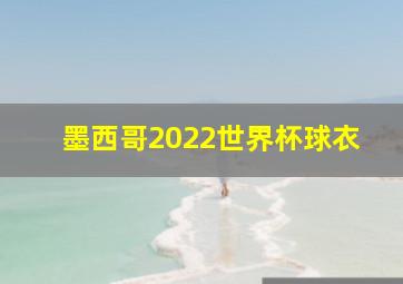 墨西哥2022世界杯球衣