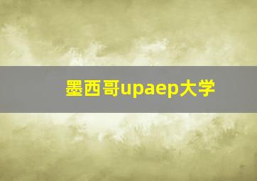 墨西哥upaep大学