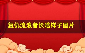 复仇流浪者长啥样子图片