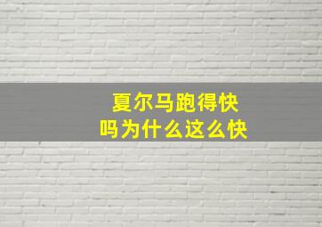 夏尔马跑得快吗为什么这么快