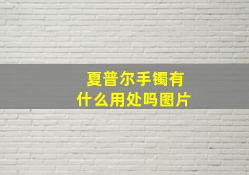 夏普尔手镯有什么用处吗图片