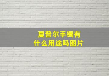 夏普尔手镯有什么用途吗图片