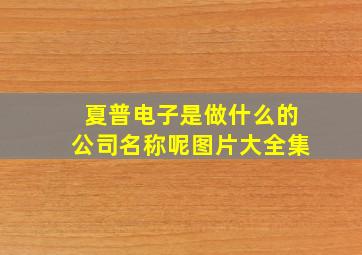 夏普电子是做什么的公司名称呢图片大全集