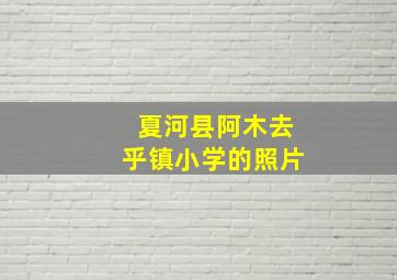 夏河县阿木去乎镇小学的照片