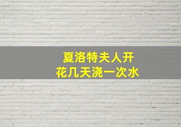 夏洛特夫人开花几天浇一次水