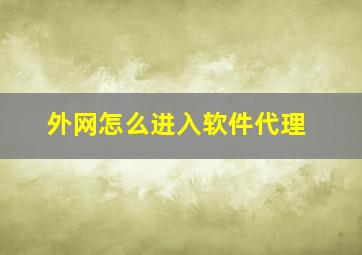 外网怎么进入软件代理