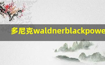 多尼克waldnerblackpower底板