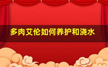 多肉艾伦如何养护和浇水