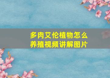 多肉艾伦植物怎么养殖视频讲解图片