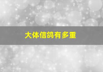 大体信鸽有多重