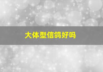 大体型信鸽好吗