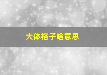 大体格子啥意思