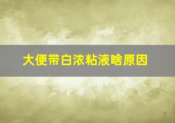 大便带白浓粘液啥原因