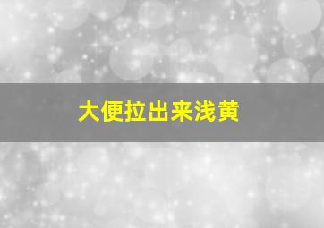 大便拉出来浅黄